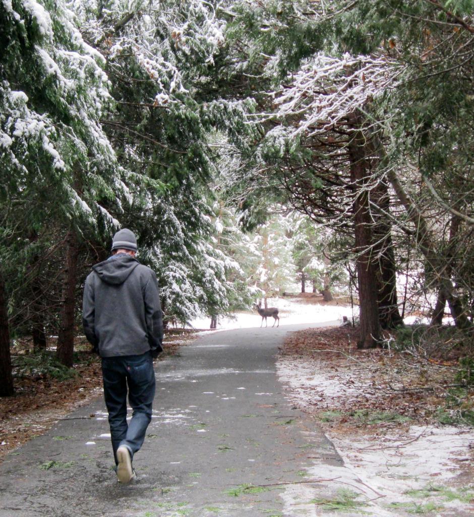 A small deer on the path in front of Andrew.