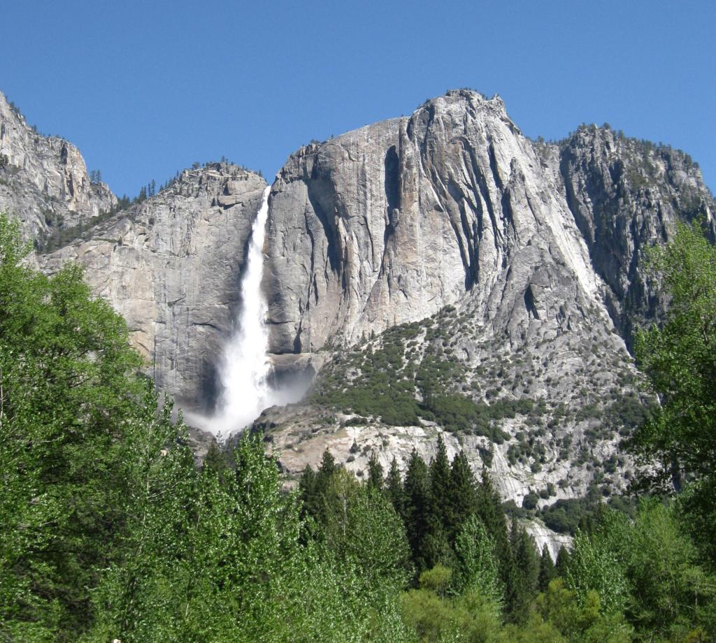 Upper Yosemite Falls from the meadow.