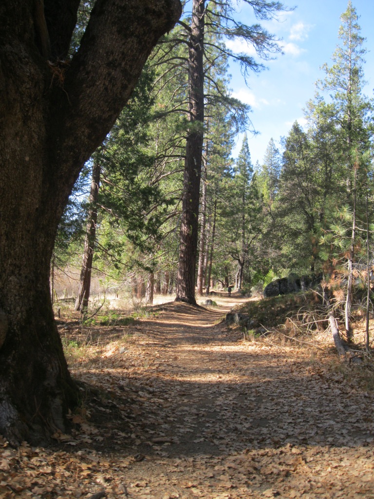 The paved route around the meadow.