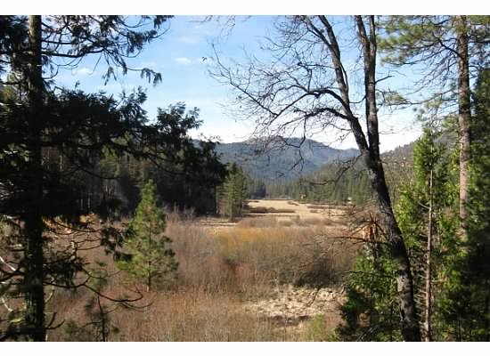 Wawona Meadow is dormant during this time of year.