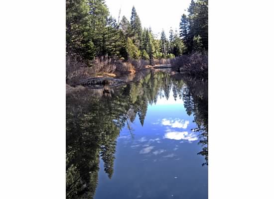 A reflection on the water. Stanislaus River.