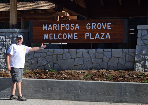 Mariposa Grove, Yosemite National Park