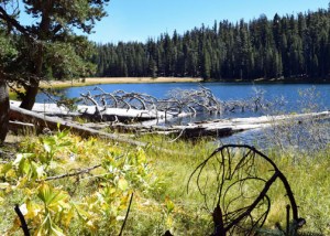 Yosemite National Park, Lukens Lake