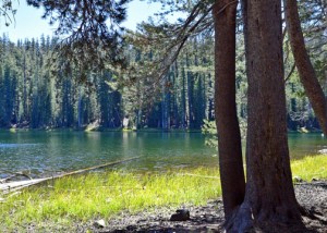 Yosemite National Park, Lukens Lake
