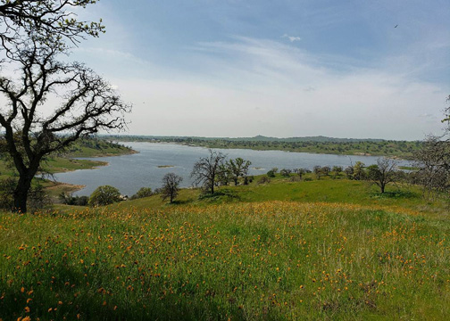 sh20190324_133215a_edited-1