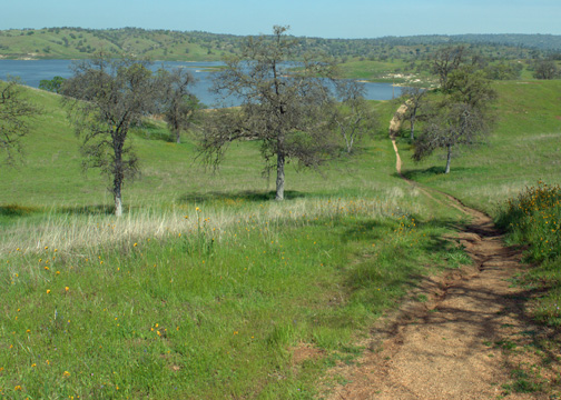 shDSC_6917a_edited-1