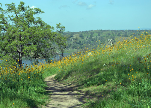 shDSC_6955a_edited-1