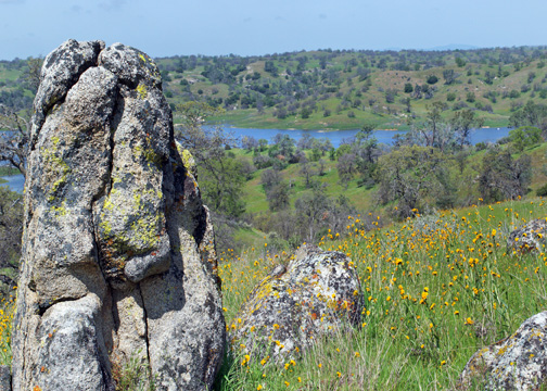 shDSC_6956a_edited-1