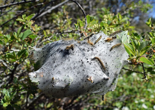 shDSC_7986a_edited-1