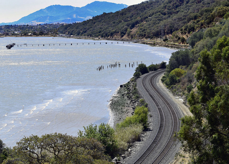 _DSC1695bedited-1_edited-1