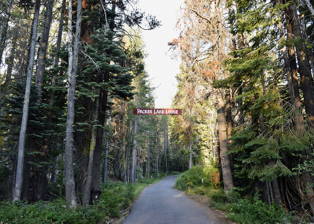 Road_DSC4191b_edited-1