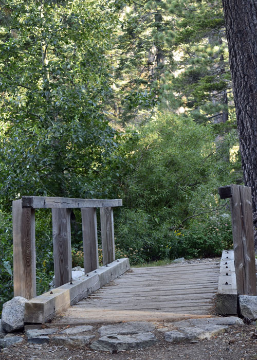 Bridge_DSC4202a_edited-1