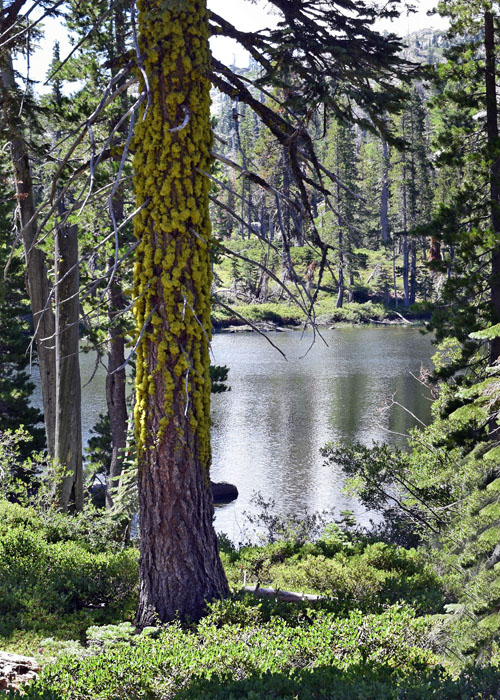 CubLake_DSC4340a_edited-1