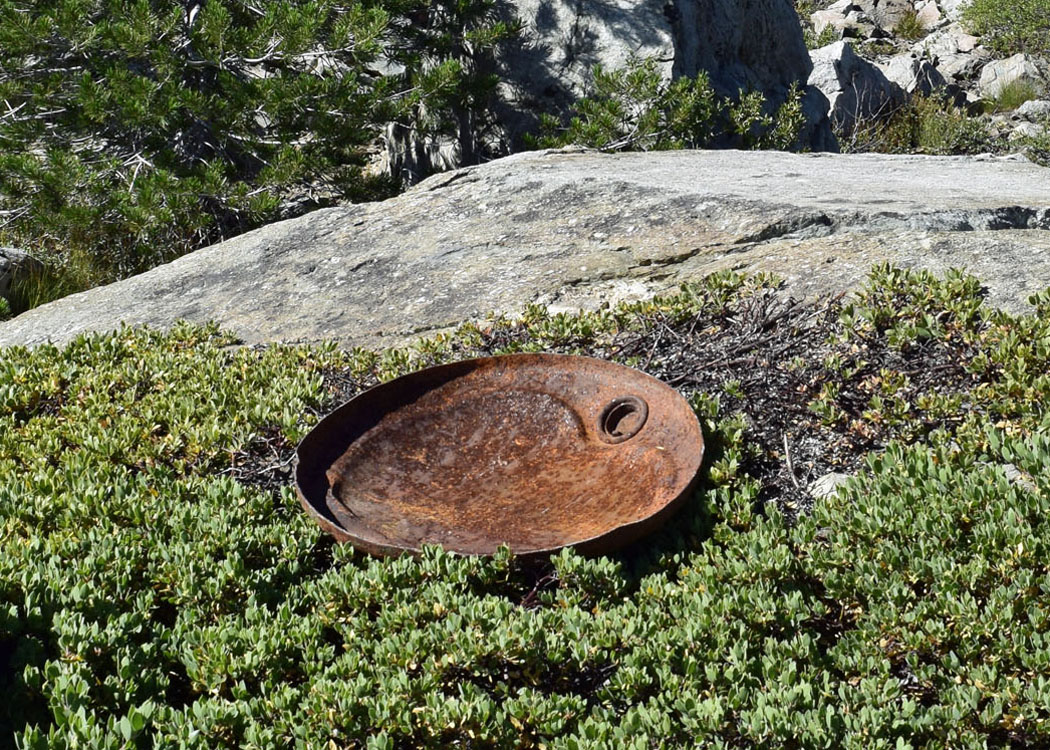 Debris_DSC4310a_edited-1