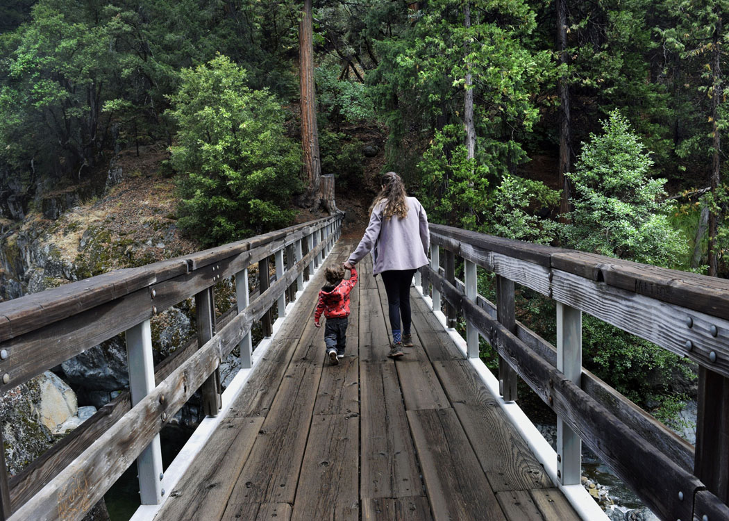 Bridge_DSC4262a_edited-1