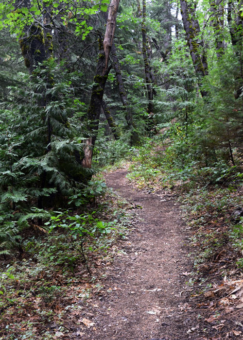 Trail_DSC4282a_edited-1