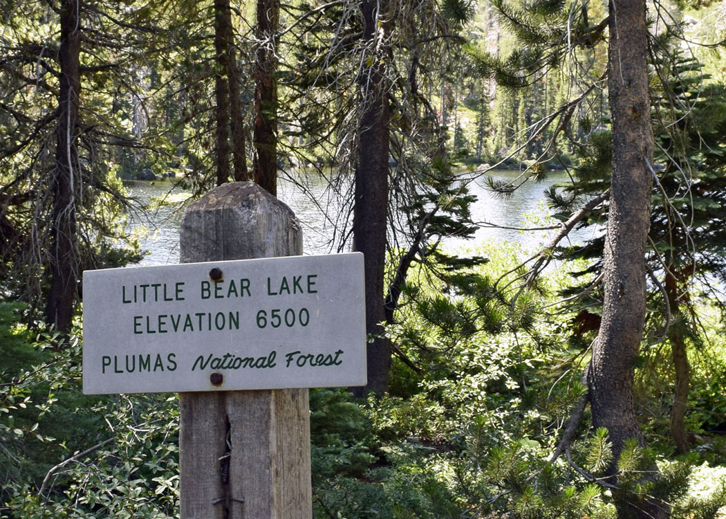 LittleBearLake_DSC4343a_edited-1