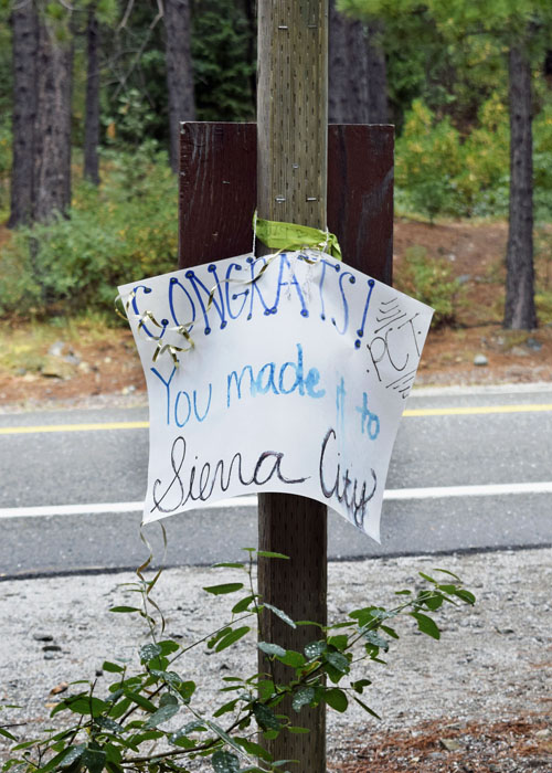 _SignDSC4252a_edited-1