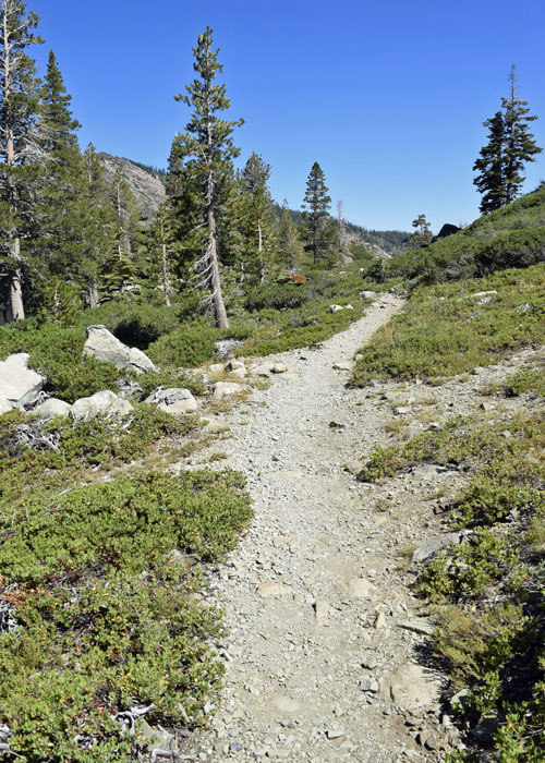 TheTrail_DSC4332a_edited-1