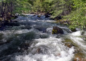 Yosemite National Park