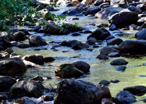 Yosemite National Park