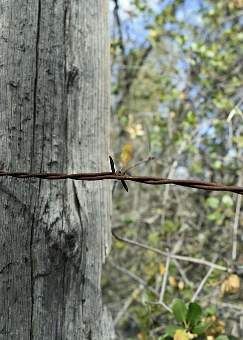 Stockton Creek Preserve