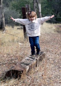 Stockton Creek Preserve