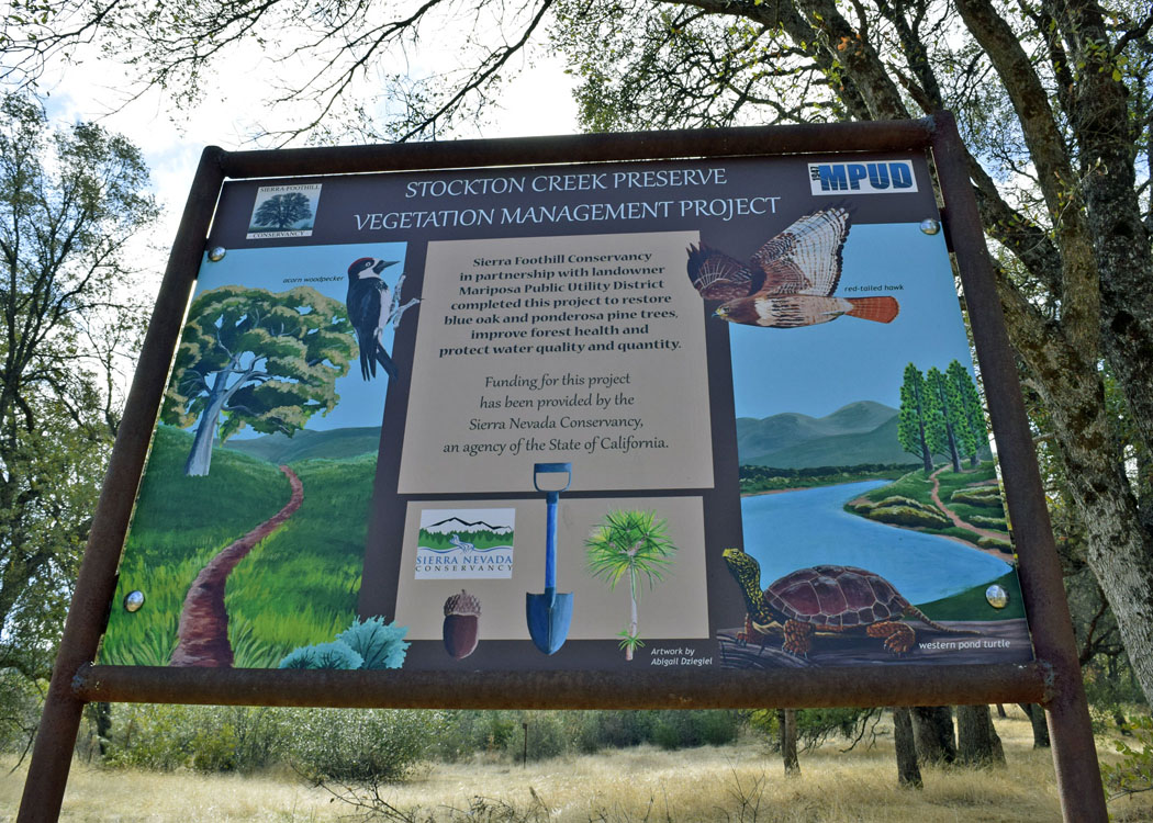 Stockton Creek Preserve