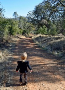 Stockton Creek Preserve