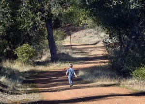 Stockton Creek Preserve