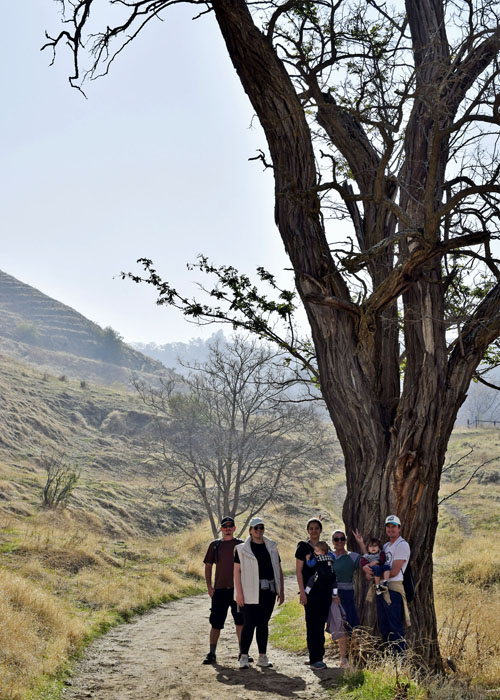 Black Diamond Regional Preserve